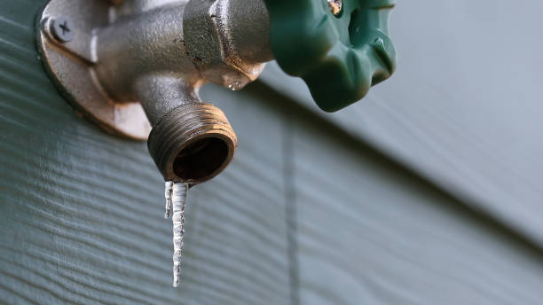 Best Sewer Line Repair  in Shinnston, WV
